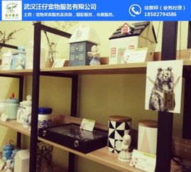 武漢汪仔寵物服務公司 專業寵物善終服務與潛江寵物火化價格解析