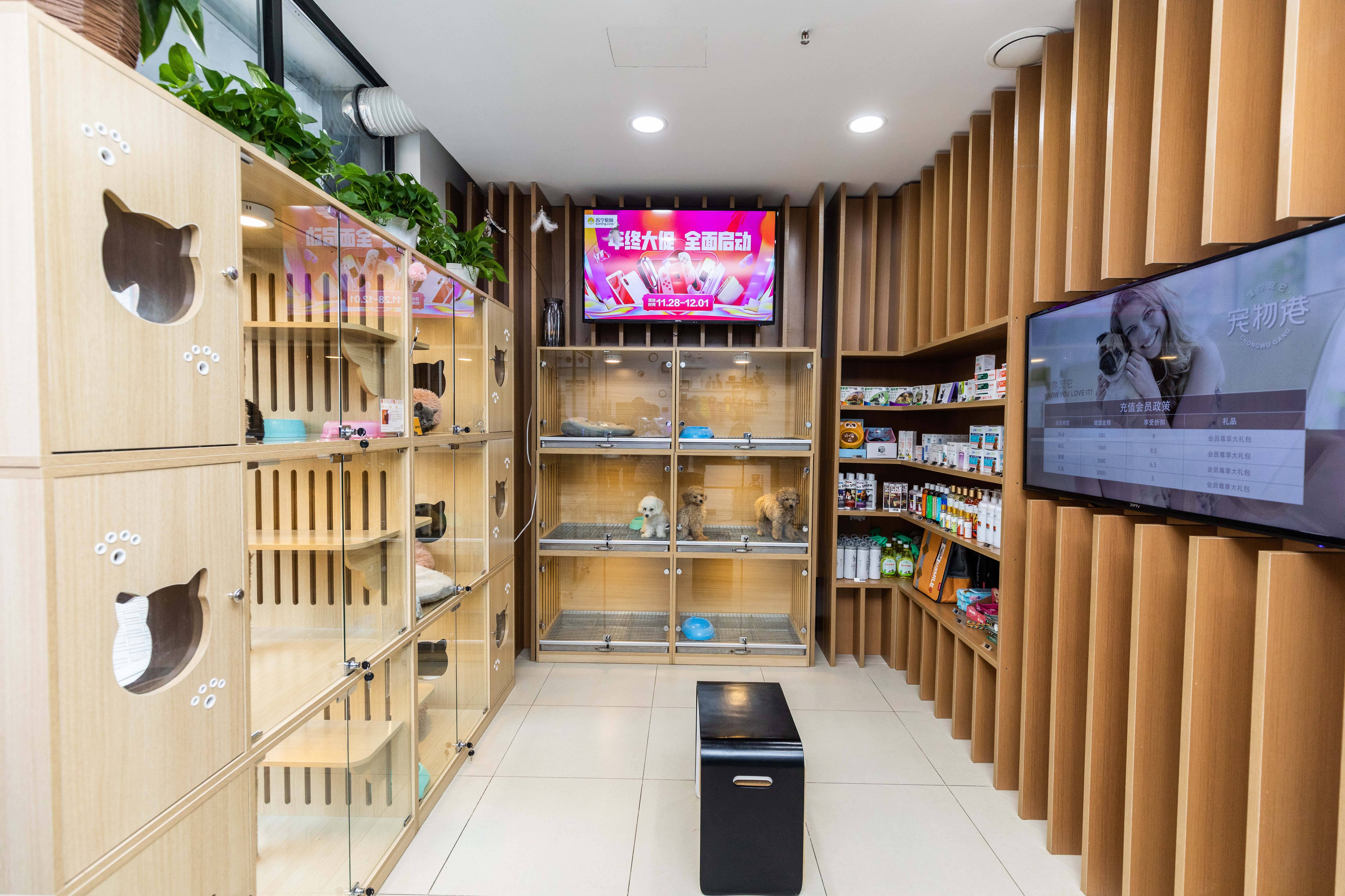 寵物店的服務怎么才算得上極致？